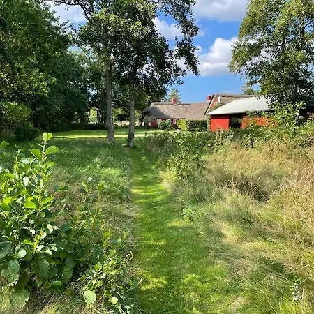 Hygge Ho - Mitten In Der Natur Mit Sauna Und Spa *