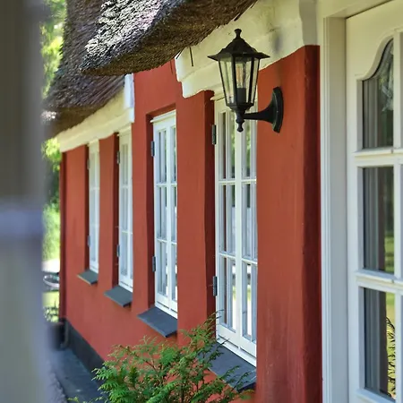 Ferienhaus Hygge Ho - Mitten In Der Natur Mit Sauna Und Spa Blåvand